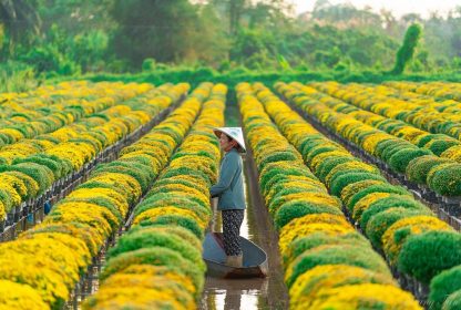 ĐỒNG THÁP – CHÂU ĐỐC – HÀ TIÊN – CÀ MAU – BẠC LIÊU  –  CẦN THƠ