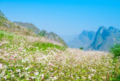 HÀ NỘI – HÀ GIANG – ĐỒNG VĂN – CAO BẰNG – THÁC BẢN GIỐC – BA BỂ